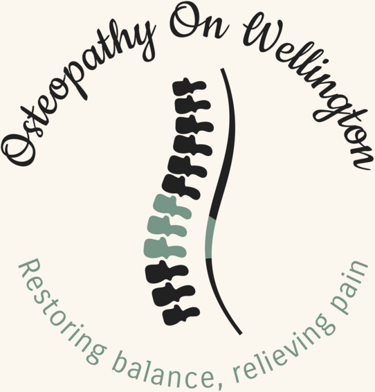 Osteopathy On Wellington